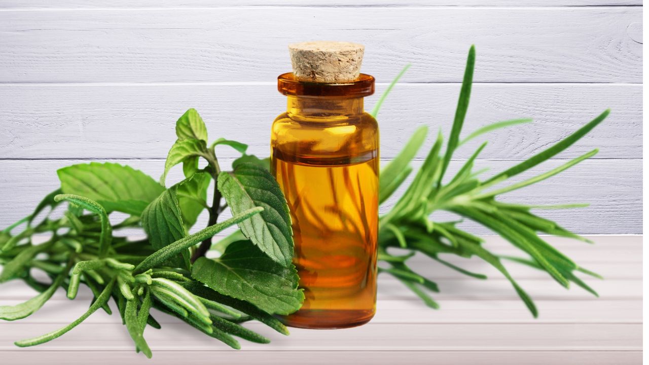 Tea tree oil
